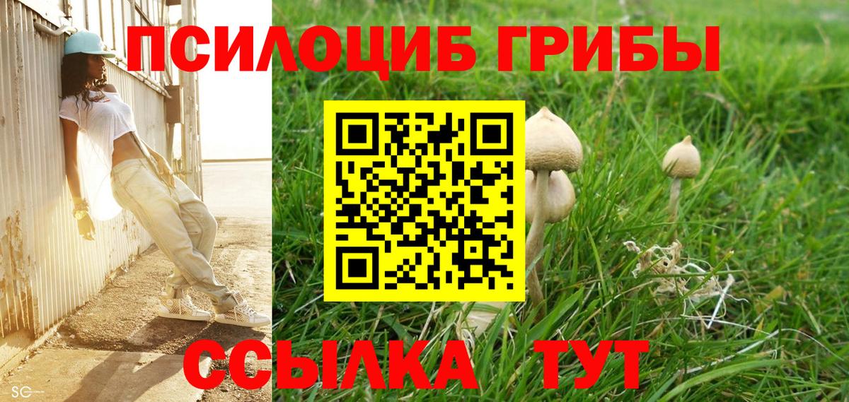 Псилоцибиновые грибы мицелий Нижнеудинск